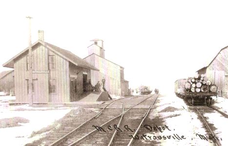 MC Waterouseville MI Depot